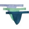 2(X)IST Cotton 3-Pack Thong -Fashion Clothing Store 61PY5FYhSNL. AC SR736920