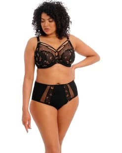 Elomi Sachi Full Brief