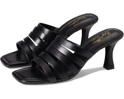 Seychelles Big Dreams