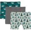 Kickee Pants Kids Print Boxer Briefs Set 3-Pack (Big Kids) -Fashion Clothing Store 91WSJK5XLXL. AC SR736920
